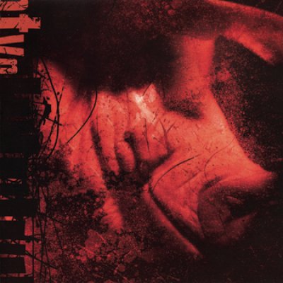 The Human Condition In Twelve Fractions