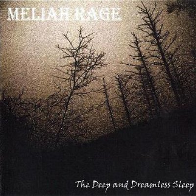 The Deep And Dreamless Sleep