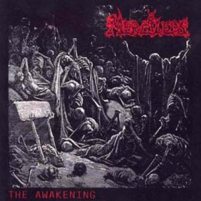 The awakening