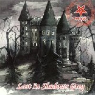 Lost In Shadows Grey