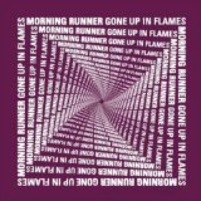 Gone Up In Flames
