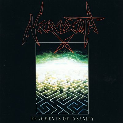 Fragments Of Insanity
