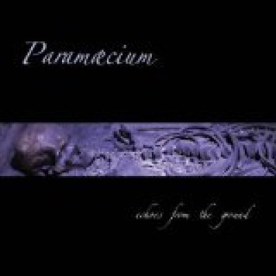 Echoes From the Ground