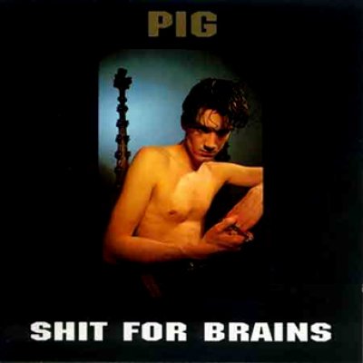 Shit For Brains
