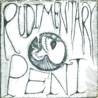 Rudimentary Peni