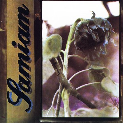 Samiam