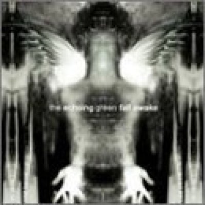 Fall Awake