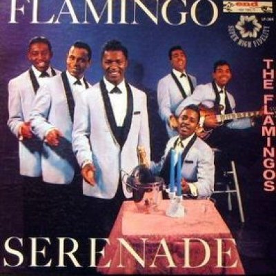Flamingo Serenade