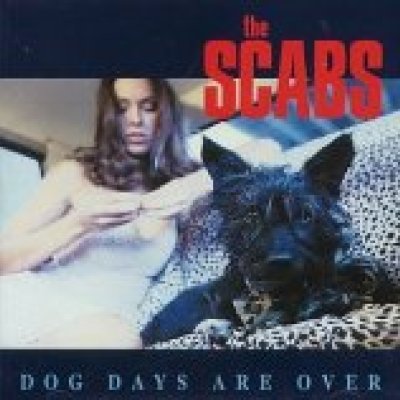 Dog Days Are Over