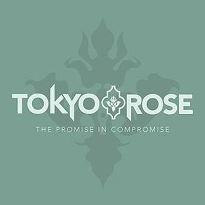 The Promise In Compromise