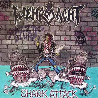 Shark Attack