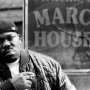 Beanie Sigel
