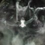 Bishop Of Hexen