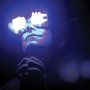 Celldweller