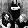Gov't Mule