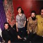 Hot Snakes