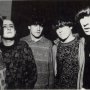 Inspiral Carpets