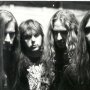 Jungle Rot