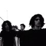 Living Things
