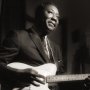 Muddy Waters