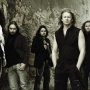 Nocturnal Rites