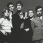 Pulp