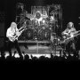 Rush