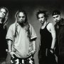Soulfly