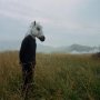 Sparklehorse