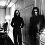 Steely Dan