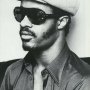 Stevie Wonder