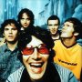 Super Furry Animals