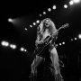 Ted Nugent