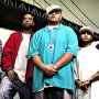 Terror Squad