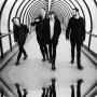 The 1975