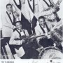 The Flamingos