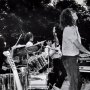 The Modern Lovers