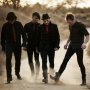 The Parlotones