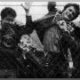 The Partisans