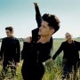 The Script