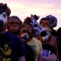 The Sound of Animals Fighting