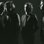 The Stills