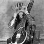 Thurston Moore