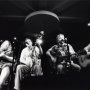 Trampled By Turtles