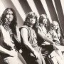 Transmetal