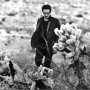 Yoav